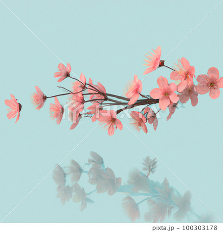 桜の季節: 春を象徴する桜のイラスト 桜の季節: 春を象徴する桜のイラスト 100303178