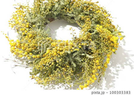 ミモザのリースを白背景で撮影 100303383