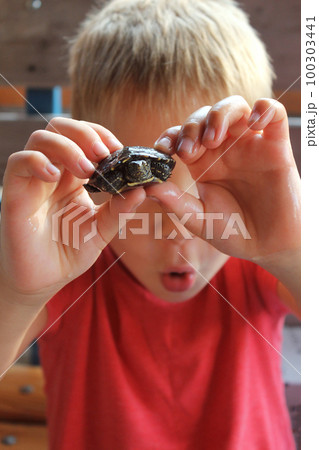 A small child has fun playing with a turtle. 100303441
