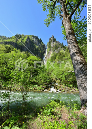 銀河の滝 銀河の滝 100303635