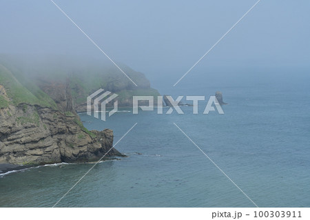 霧多布岬 100303911