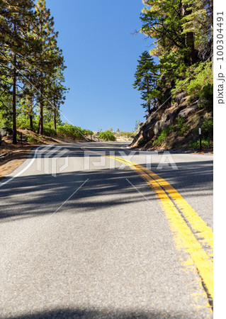 Asphalt road through forest 100304491