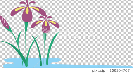 Iris Iris 100304707