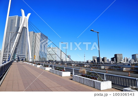 都市風景 佃島中央大橋 都市風景 佃島中央大橋 100306543