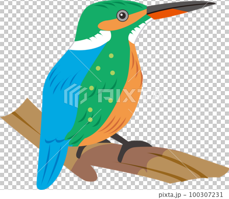 一隻鳥 一隻鳥 100307231