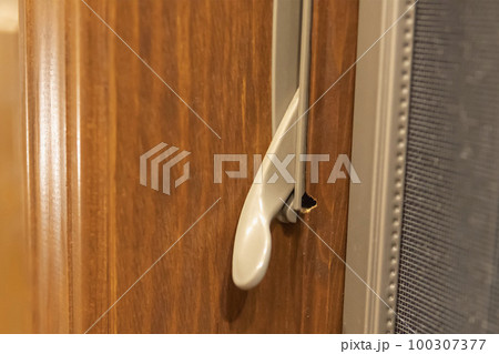 オオハキリバチに穴をあけられた屋内の木部／蜂・6月 100307377