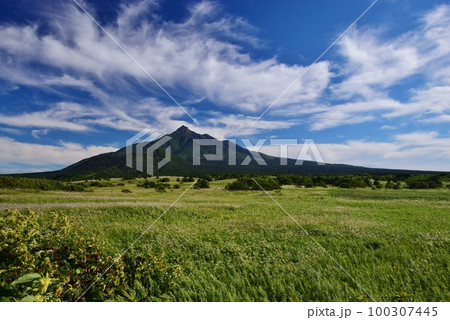 利尻島の夏景色 利尻島の夏景色 100307445