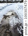 雪道　雪融け　雪融け道　雪解け道　雪解け アスファルト　水たまり 100307479