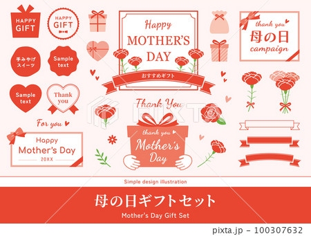 母の日のフレームセット。カーネーションの花、花束のイラスト。ラベル、ロゴ、ベクター素材。 100307632