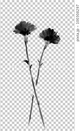 カーネーションの花（墨の手描きイラスト） 100308297