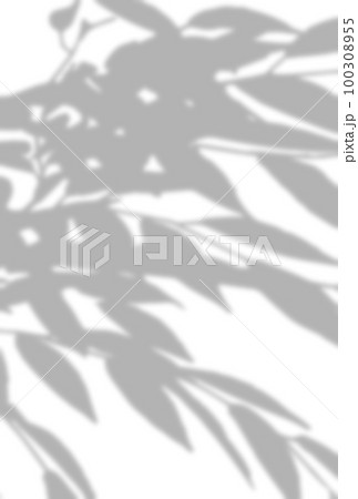 背景イラスト_木漏れ日 背景イラスト_木漏れ日 100308955