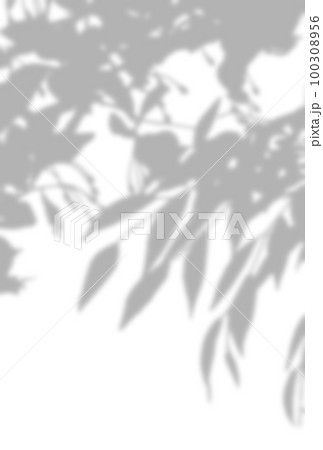 背景イラスト_木漏れ日 背景イラスト_木漏れ日 100308956