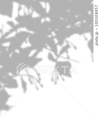 背景イラスト_木漏れ日 背景イラスト_木漏れ日 100308957