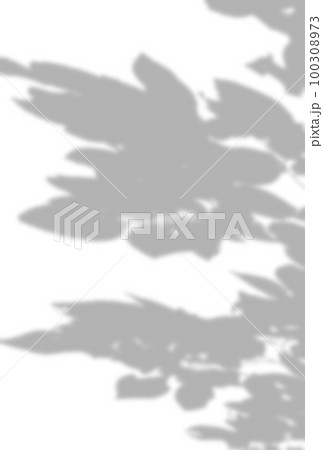 背景イラスト_木漏れ日 100308973