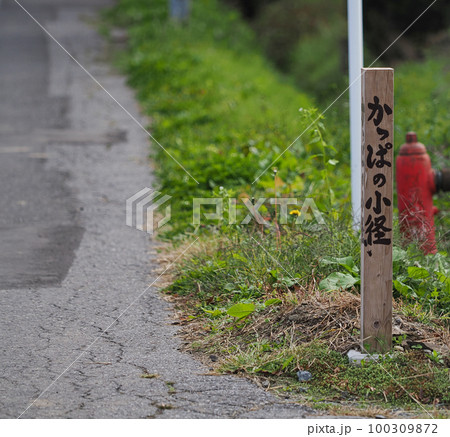 カッパ淵へ向かうかっぱの小径・岩手県遠野市 100309872