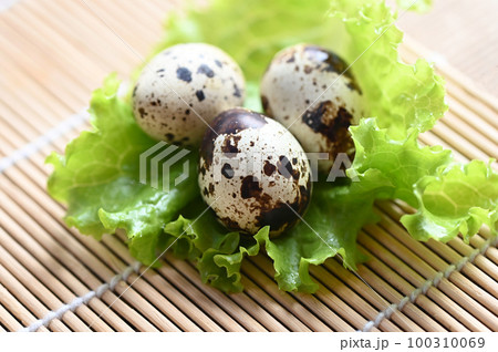 quail eggs on lettuce salad vegetable, fresh quail eggs on wooden table for cooking food 100310069