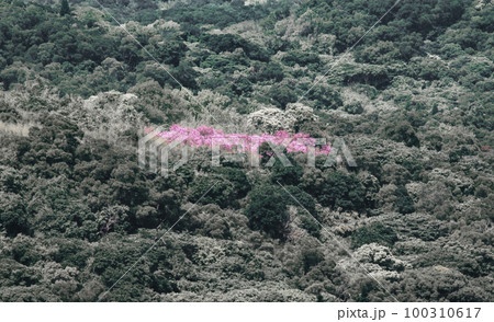 景色 風景 地形 100310617