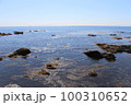 神奈川県三浦半島、城ヶ島の海岸から見た水平線と快晴の空 100310652