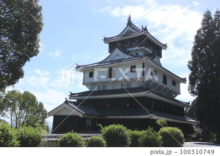 山口県岩国市岩国城 100310749