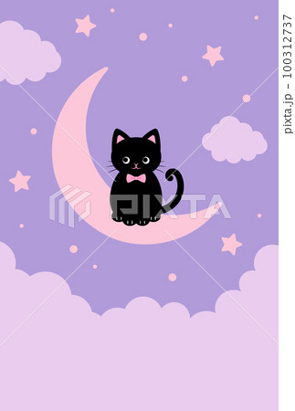 夜空に浮かぶ三日月に乗った黒猫の向け背景イラスト 100312737