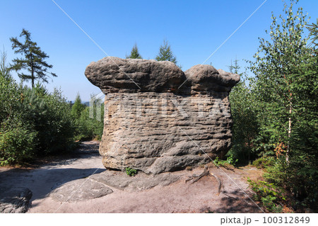 Stone Mushrooms - rock formation in Broumov Walls in Czech Republic 100312849