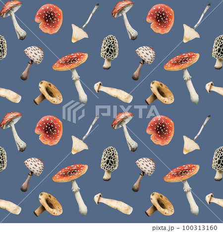 Watercolor mushrooms seamless pattern with bright red fly agarics and other mushrooms on blue for fabric, wrapping paper 100313160