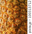 Pineapple peel texture full frame close-up. 100313712