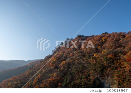 鳴子ダムの紅葉(宮城県) 鳴子ダムの紅葉(宮城県) 100313947