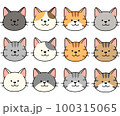 猫の顔のアイコンセット 100315065