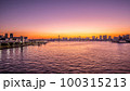豊洲大橋からの夕焼け 100315213