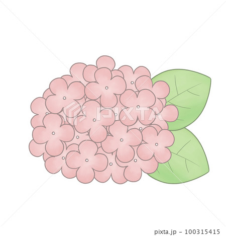 手描き風　紫陽花イラスト 100315415