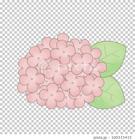 手描き風　紫陽花イラスト 100315415