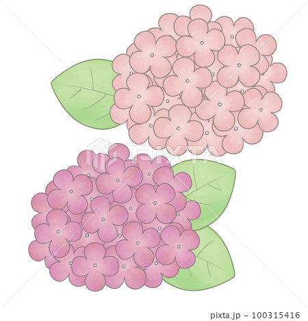手描き風　紫陽花イラスト 100315416
