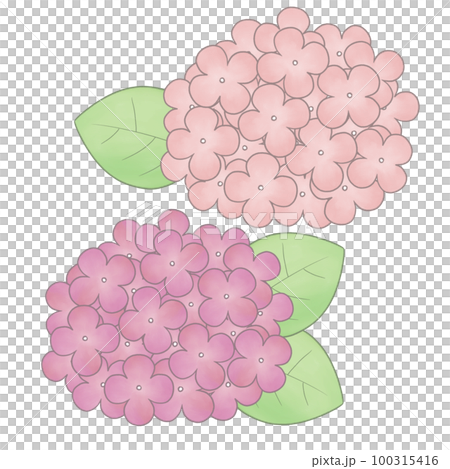 手描き風　紫陽花イラスト 100315416
