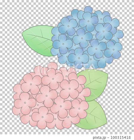 手描き風　紫陽花イラスト 100315418