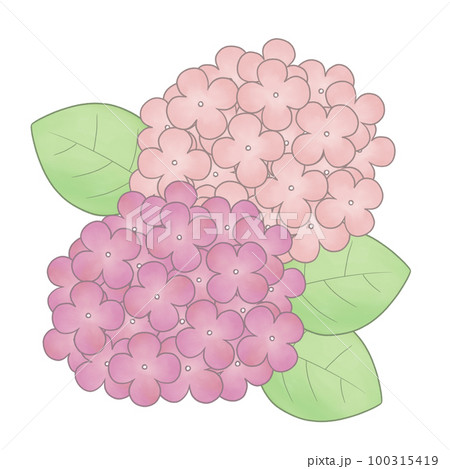 手描き風　紫陽花イラスト 100315419