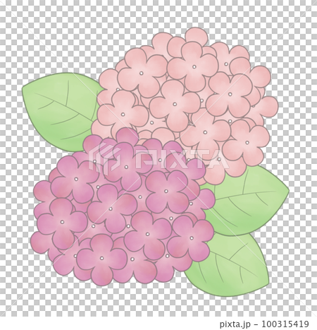 手描き風　紫陽花イラスト 100315419
