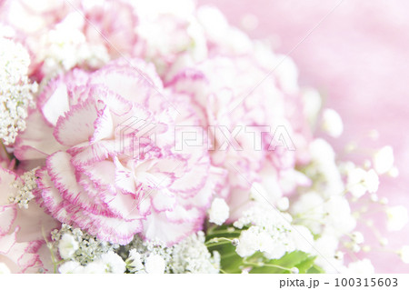 カーネーション 100315603