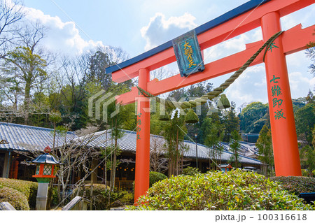 【奈良県】奈良市 霊山寺 (2023/03/10撮影) 100316618