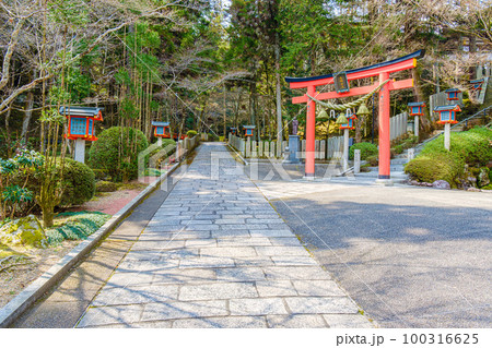 【奈良県】奈良市 霊山寺 (2023/03/10撮影) 100316625