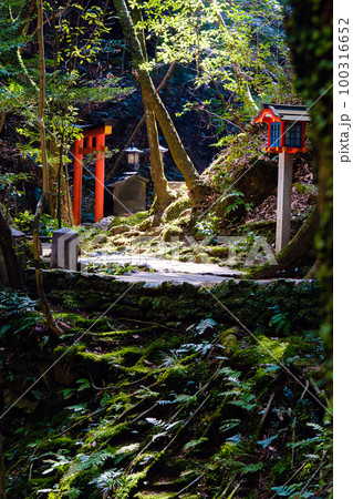 【奈良県】奈良市 霊山寺 奥之院  (2023/03/10撮影) 100316652