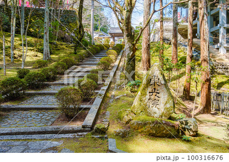 【奈良県】奈良市 霊山寺 (2023/03/10撮影) 100316676