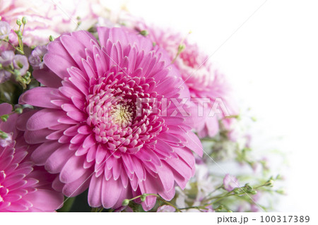 ピンクの花束ガーベラ ピンクの花束ガーベラ 100317389