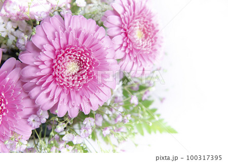 ピンクの花束ガーベラ 100317395