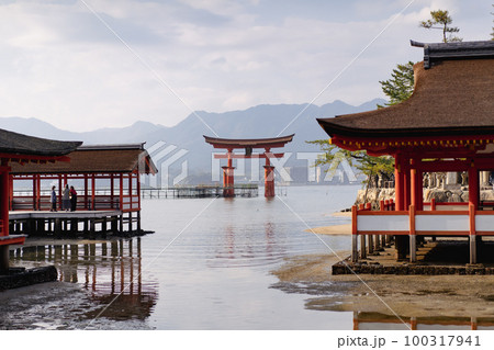 厳島神社　鳥居 100317941