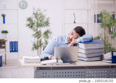 Young male employee working in the office Young male employee working in the office 100318150