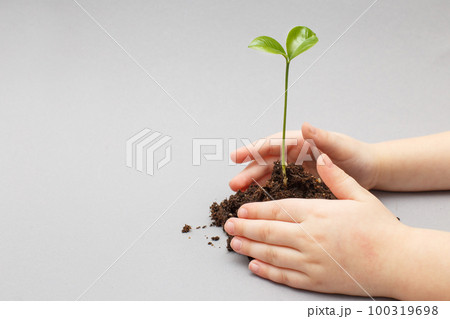 Green sprout growing from soil and a kids hands protecting it isolated on a gray paper background. 100319698