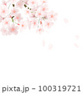 舞い散る桜の花（透過） 100319721