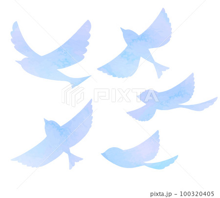 青い鳥 シルエット バリエーション 青い鳥 シルエット バリエーション 100320405