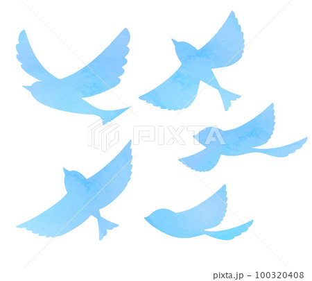 青い鳥 シルエット バリエーション 100320408